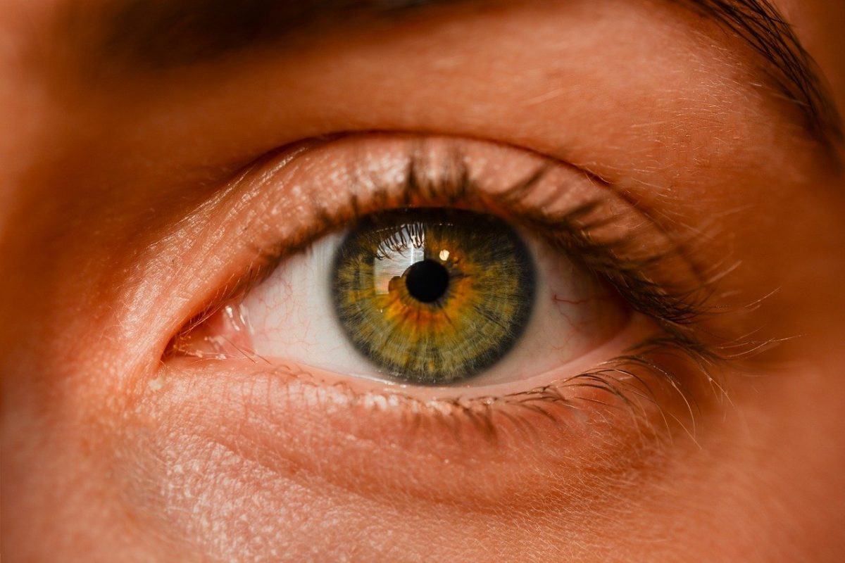 Oczy to niezwykły organ. To dokładnie dzięki nim rozróżniamy.