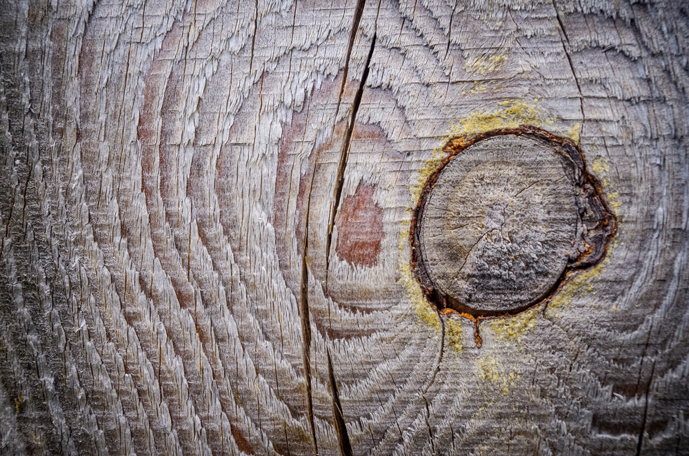 Tartak – Źródło Doskonałego Drewna: Twórz Z Pasją i Wytrzymałością.